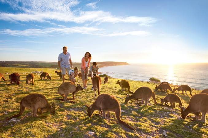 First Timer's Guide To Australia