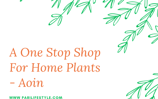 A One Stop Shop For Home Plants - Aoin