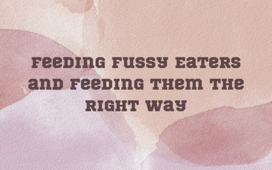 Feeding Fussy Eaters and Feeding Them the Right Way